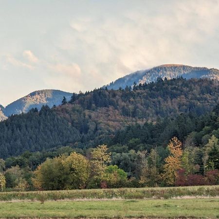 Ferienwohnung Belchenblick Staufen im Breisgau Exterior foto