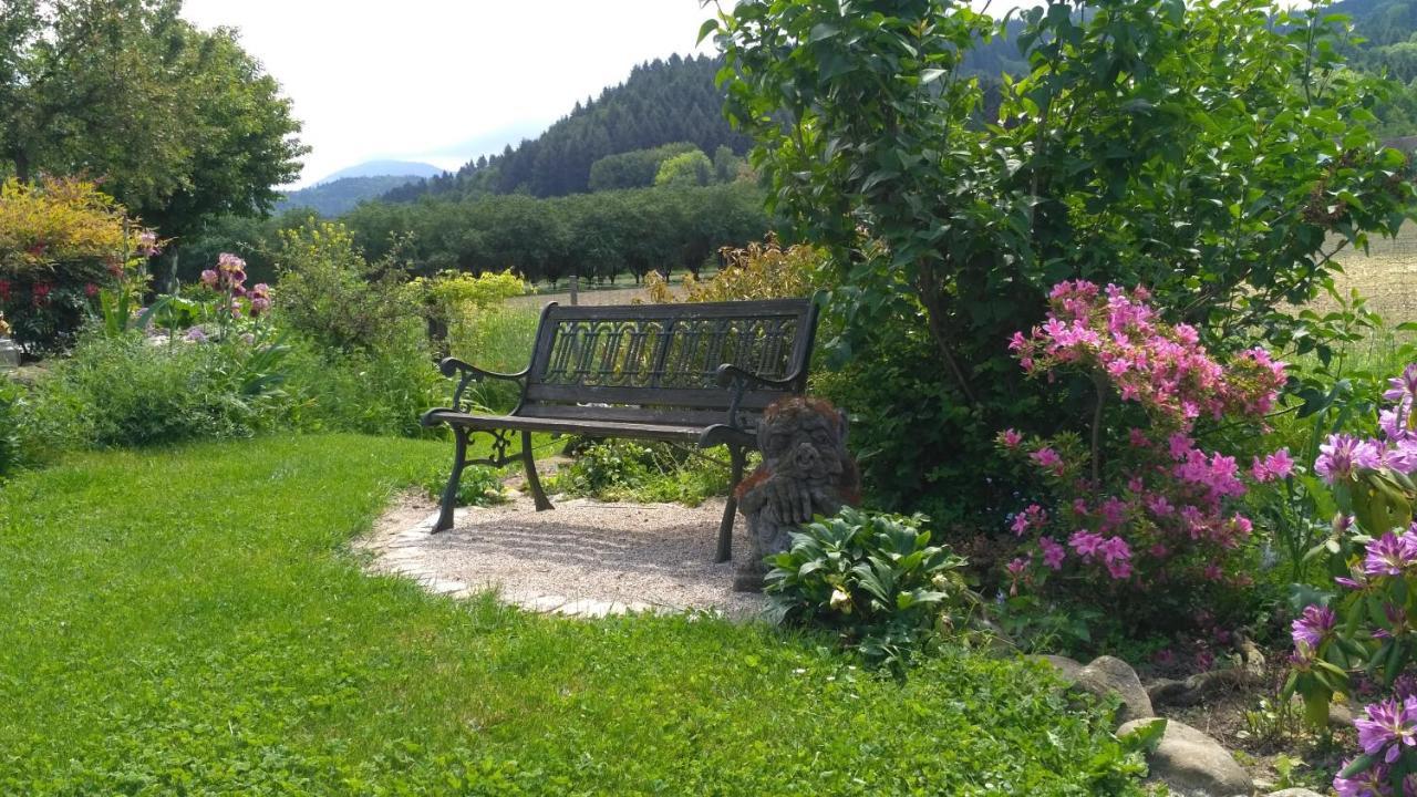 Ferienwohnung Belchenblick Staufen im Breisgau Exterior foto