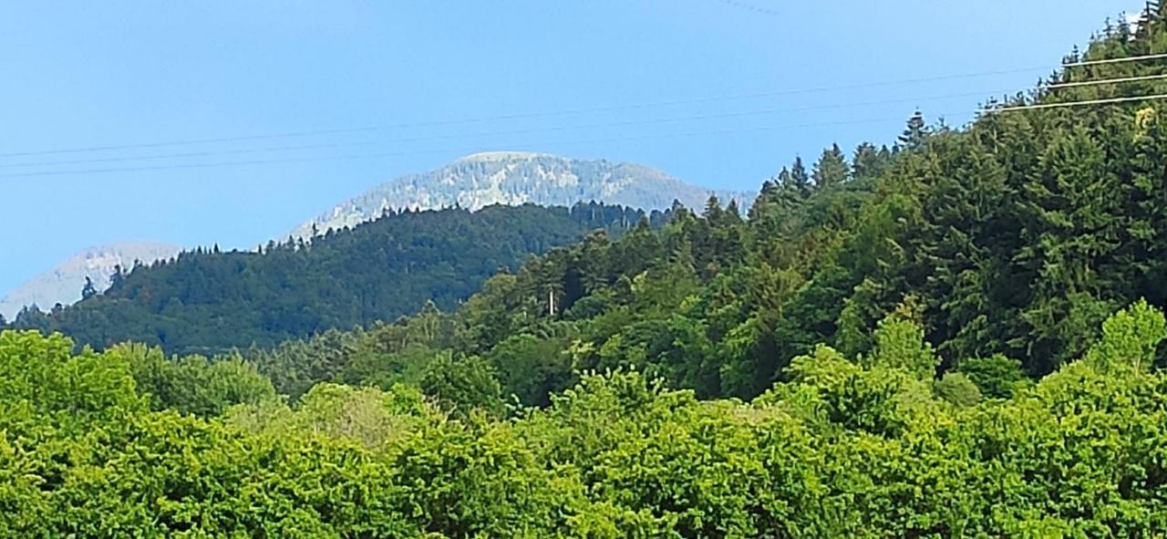 Ferienwohnung Belchenblick Staufen im Breisgau Exterior foto
