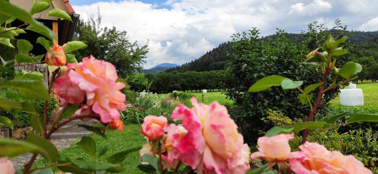 Ferienwohnung Belchenblick Staufen im Breisgau Exterior foto