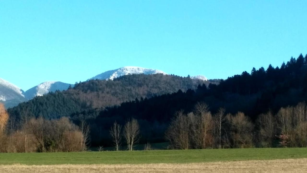 Ferienwohnung Belchenblick Staufen im Breisgau Exterior foto