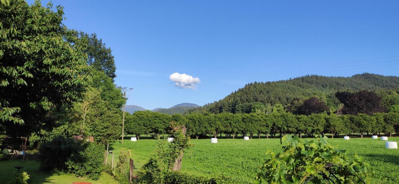 Ferienwohnung Belchenblick Staufen im Breisgau Exterior foto