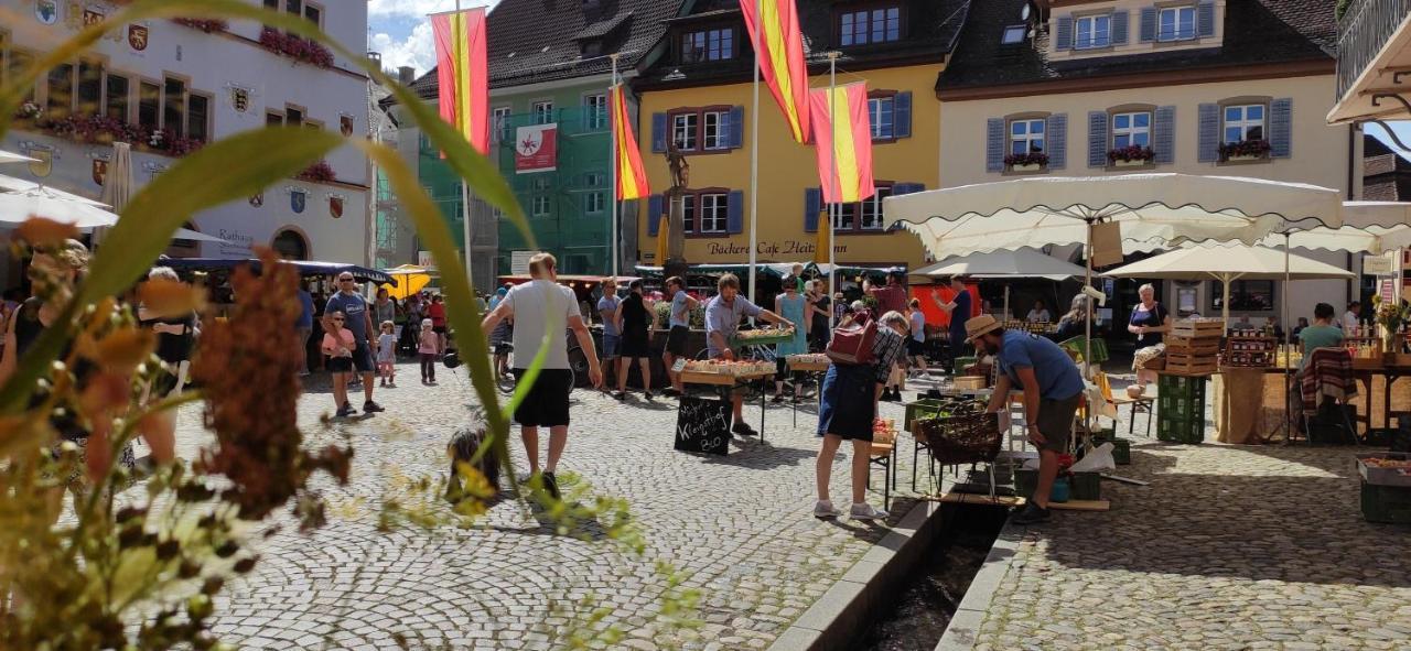 Ferienwohnung Belchenblick Staufen im Breisgau Exterior foto